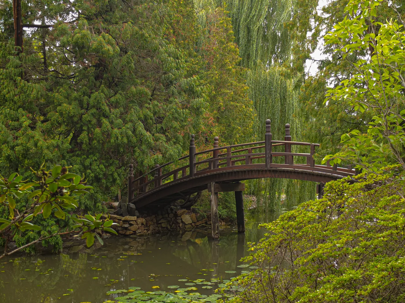 Une passerelle en bois au-dessus de l’eau et des arbres du jardin japonais de Wrocław.